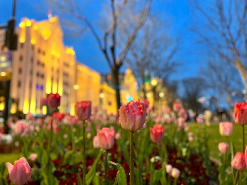 分享几张周末出去玩和学校的照片分享几张周末出去玩和学校的照片